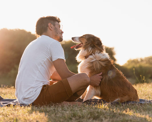 Suplementos Naturais para Cães e Gatos: O que São e Por Que Usar?