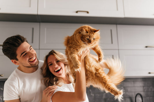 SereniPet: equilíbrio natural contra estresse e ansiedade em pets